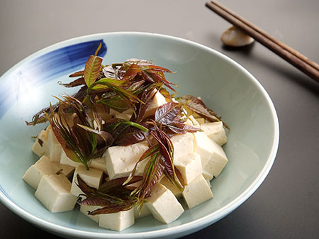 天津海鮮:香椿拌豆腐
