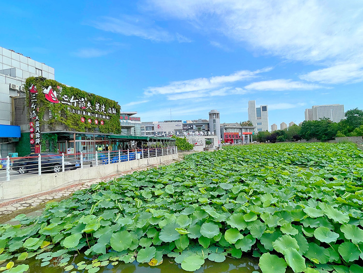 天津海鮮：三個漁夫·蒸汽海鮮（梅江店）